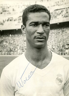 Lot 607 - DIDI: (1928-2001)