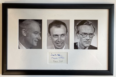 Lot 1051 - DNA MOLECULE