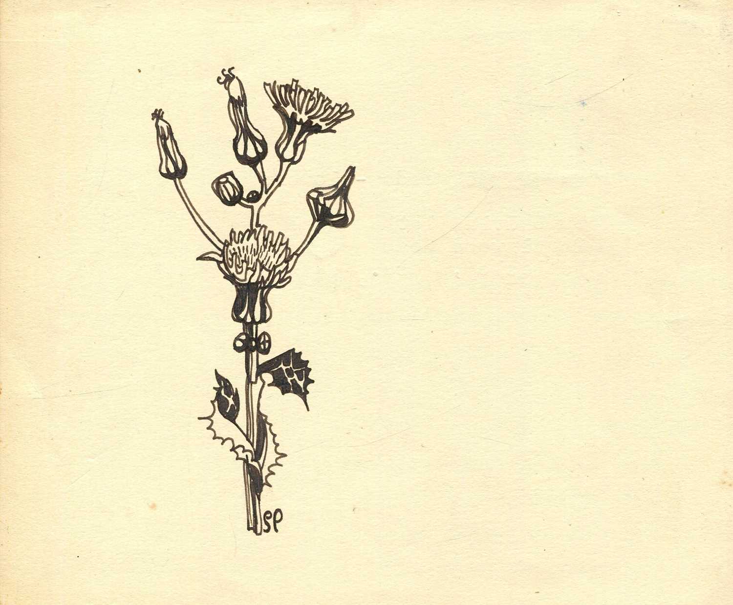 Lot 1165 - PLATH SYLVIA: (1932-1963)