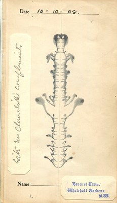 Lot 1683 - CHURCHILL WINSTON S.: (1874-1965)
